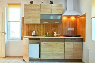 Апартаменты Private Apartments Трускавец Апартаменты-30